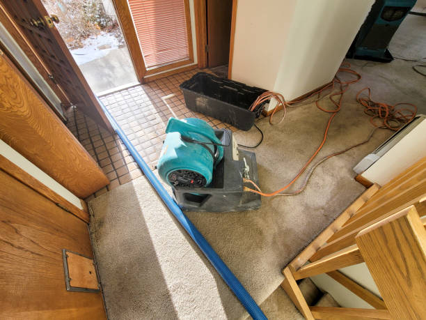 Best Water damage restoration near me  in Nisswa, MN