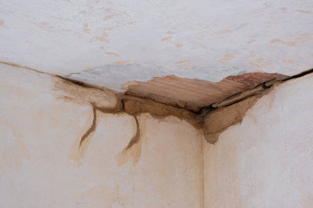 Best Flooded house restoration  in Nisswa, MN