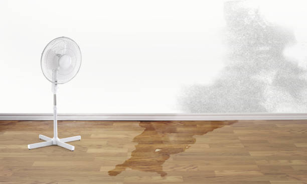 Best Water damage restoration near me  in Nisswa, MN