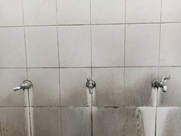 Best Commercial water damage restoration  in Nisswa, MN