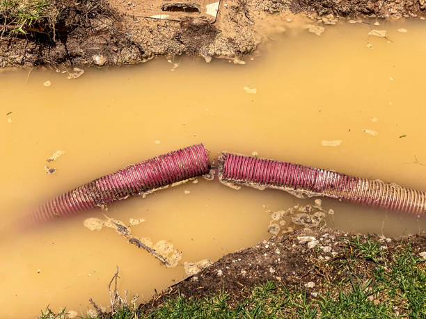 Best Local water damage restoration  in Nisswa, MN