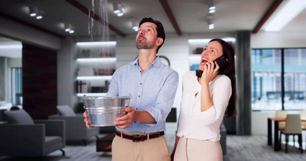 Best 24-hour water damage restoration  in Nisswa, MN